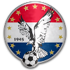 home team logo