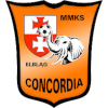 home team logo