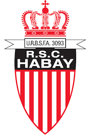 home team logo