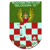 away team logo