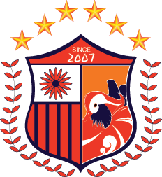 away team logo
