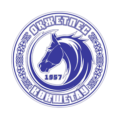 home team logo