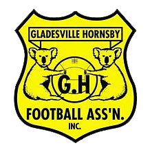 home team logo