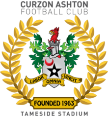 home team logo