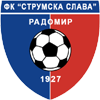home team logo