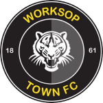 home team logo
