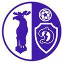 home team logo