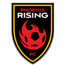 home team logo