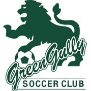 home team logo