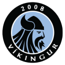 home team logo