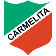 home team logo