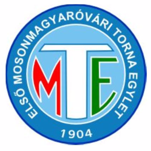 home team logo