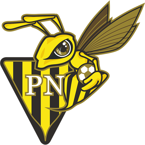 home team logo
