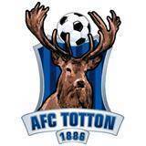 home team logo