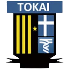 home team logo