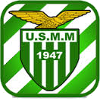 home team logo