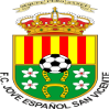 home team logo