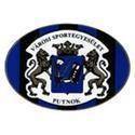 home team logo