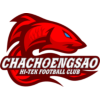 home team logo