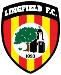 home team logo