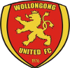 home team logo