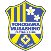 home team logo