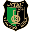 home team logo
