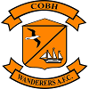 home team logo