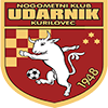 home team logo