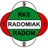 home team logo