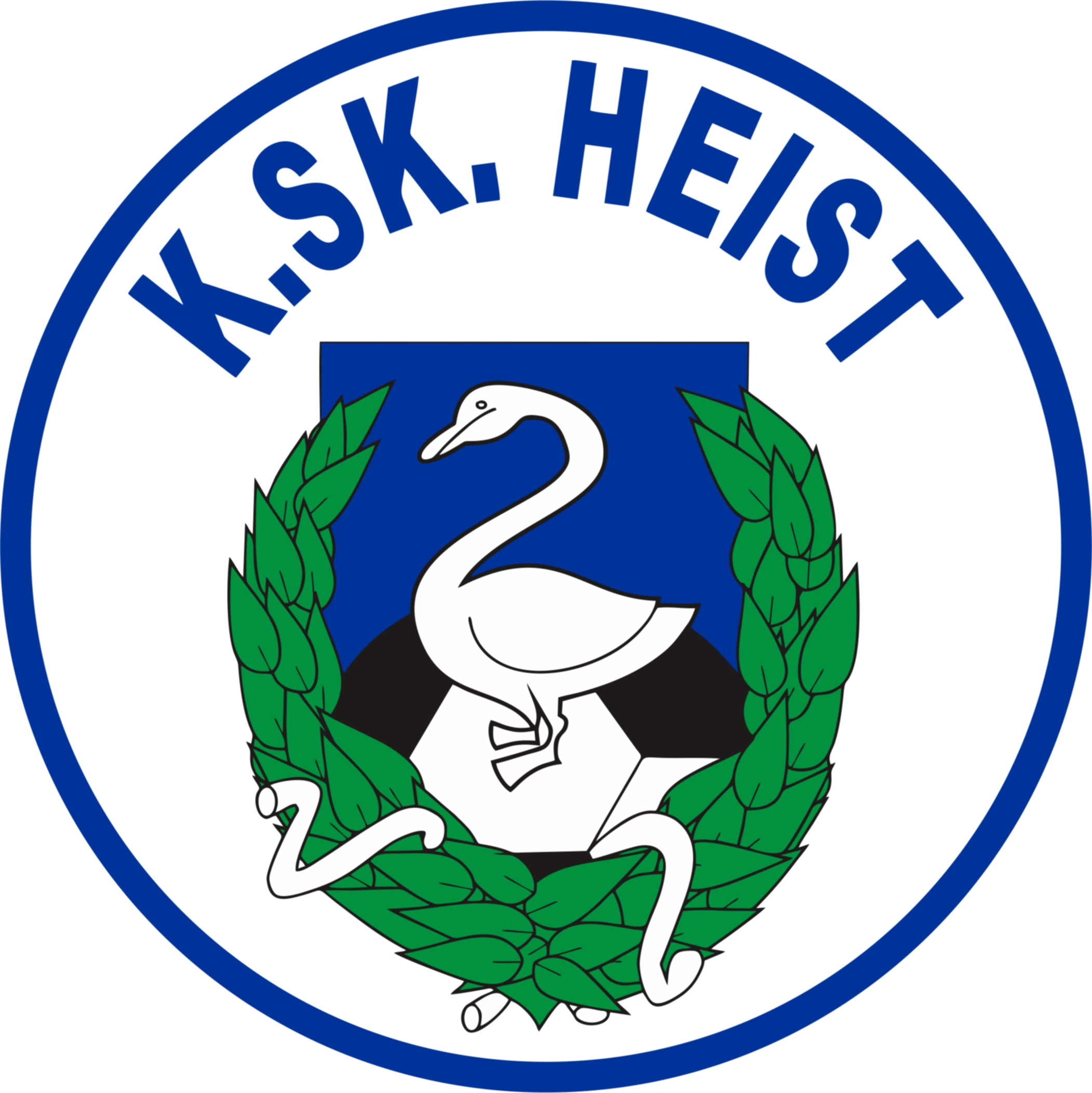 home team logo