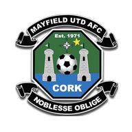 home team logo