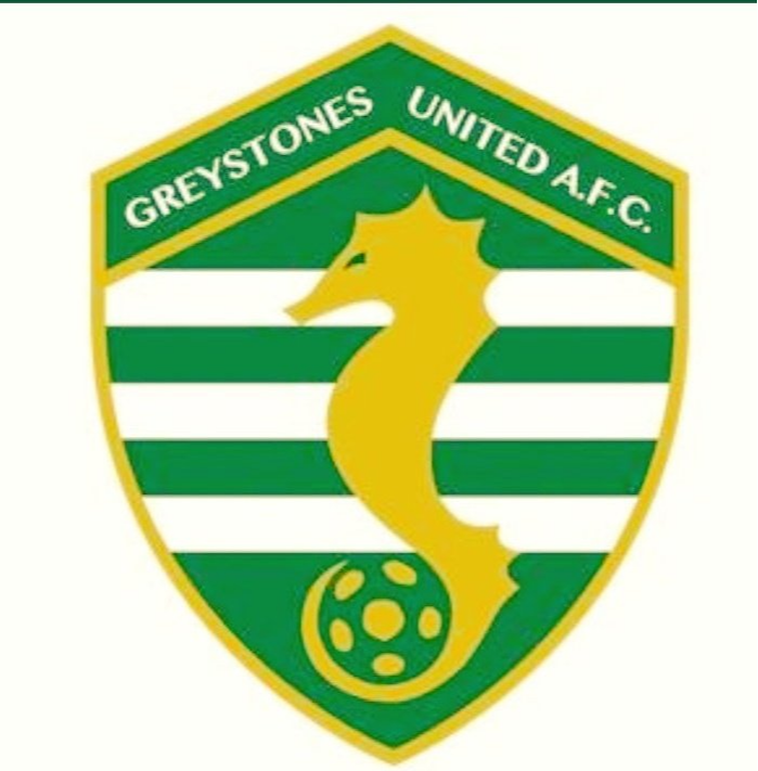 home team logo