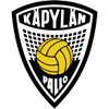 away team logo