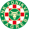 home team logo