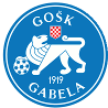 home team logo