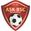 home team logo