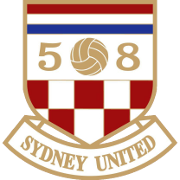 home team logo