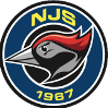 home team logo