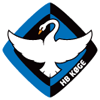 away team logo