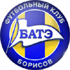 home team logo