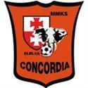 home team logo