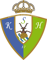 home team logo
