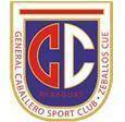 home team logo