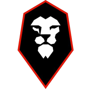 home team logo