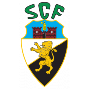 home team logo