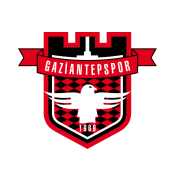home team logo