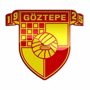 home team logo