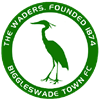 home team logo