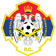 home team logo